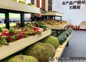 2018全國(guó)農(nóng)產(chǎn)品產(chǎn)銷對(duì)接行廣西站活動(dòng)舉行，食用油產(chǎn)業(yè)迎來新機(jī)遇