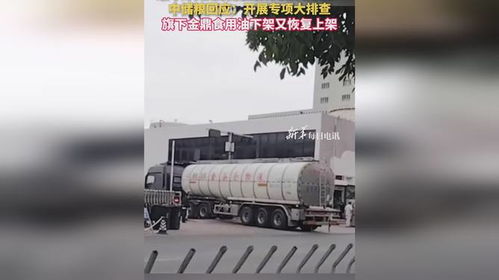 食用油安全風波再起 中儲糧金鼎疑遭污染，官方緊急行動凸顯行業隱憂